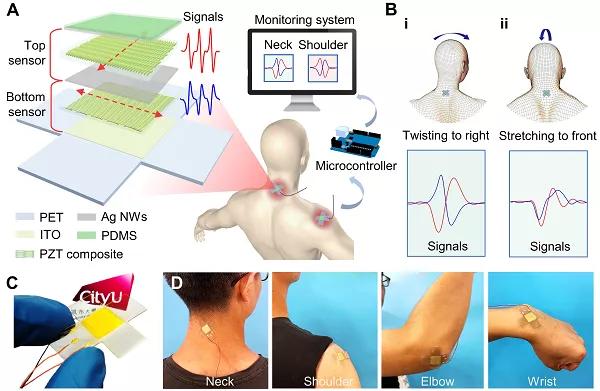 香港城大楊征保課題組Science子刊：一種新型柔性壓電陶瓷剪紙，用于預(yù)防關(guān)節(jié)疾病